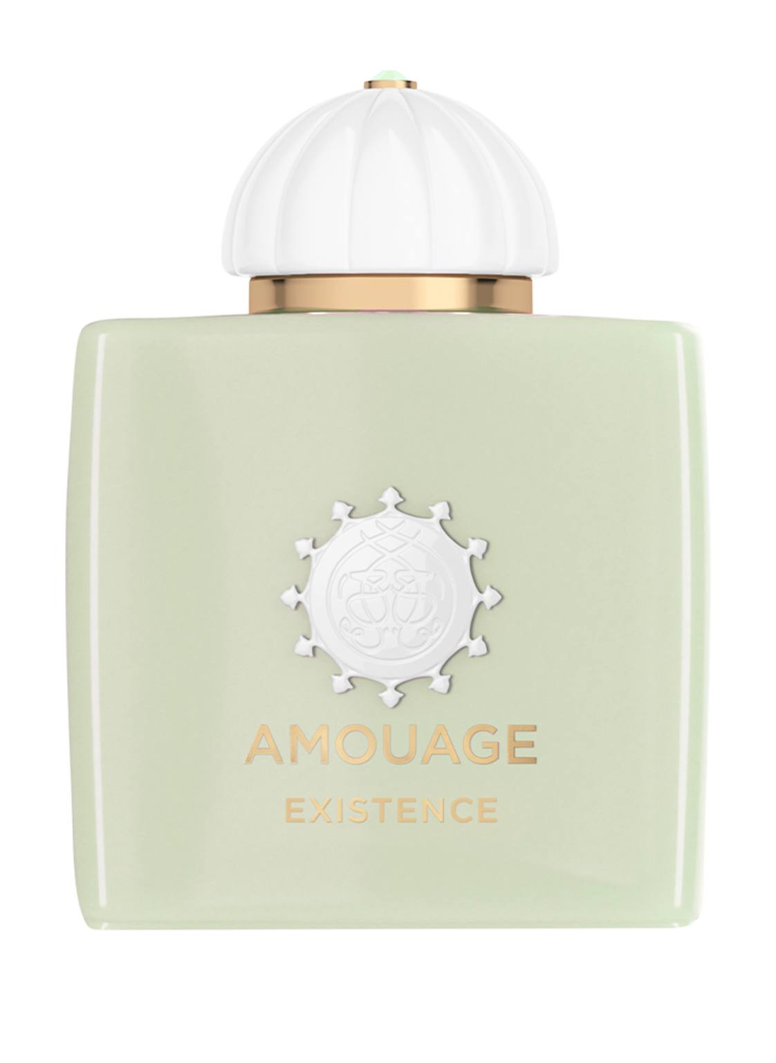 Amouage Existence Eau de Parfum 100 ml Amouage Existence Eau de Parfum 100 ml von AMOUAGE