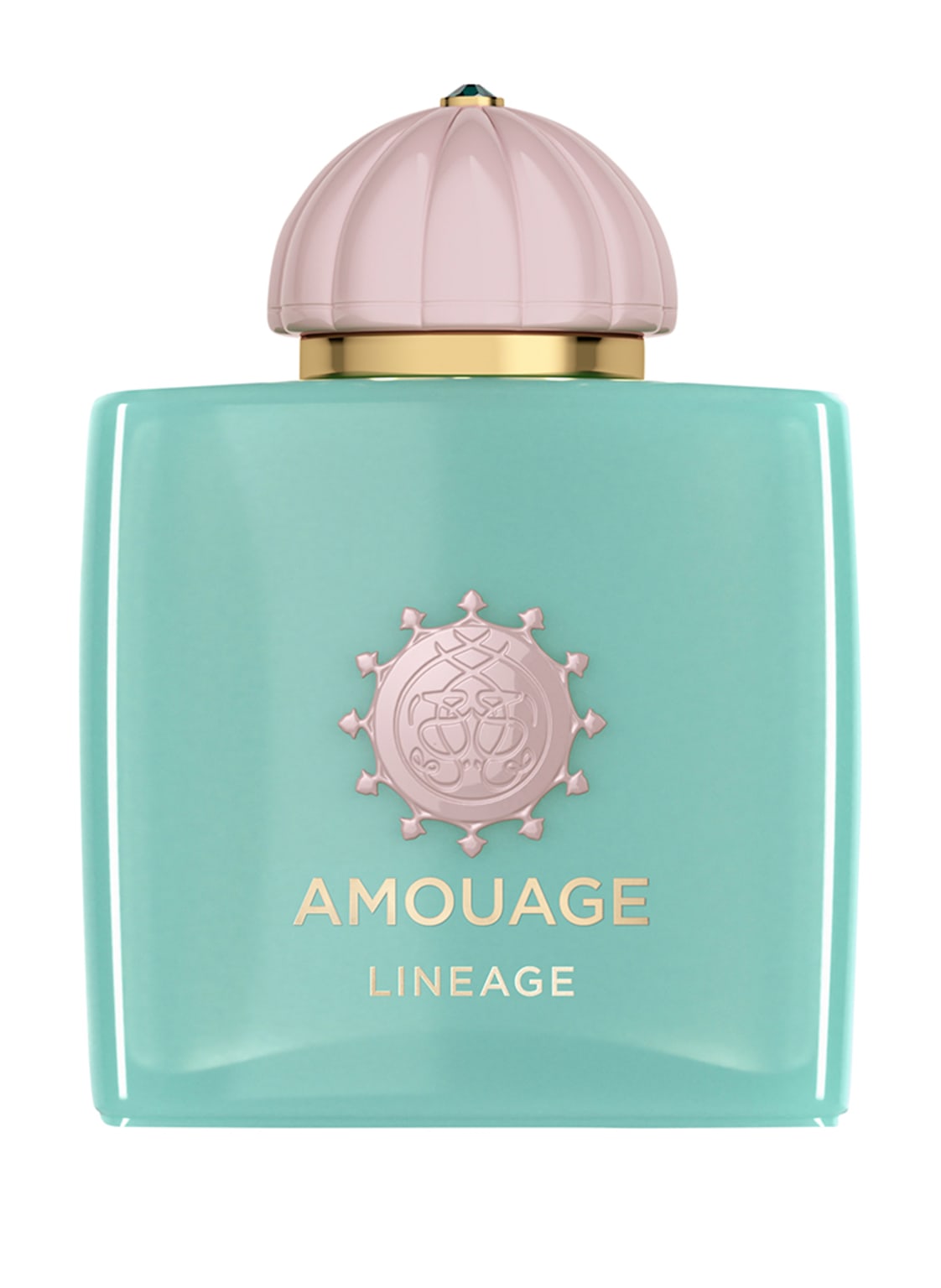 Amouage Lineage Eau de Parfum 100 ml Amouage Lineage Eau de Parfum 100 ml von AMOUAGE