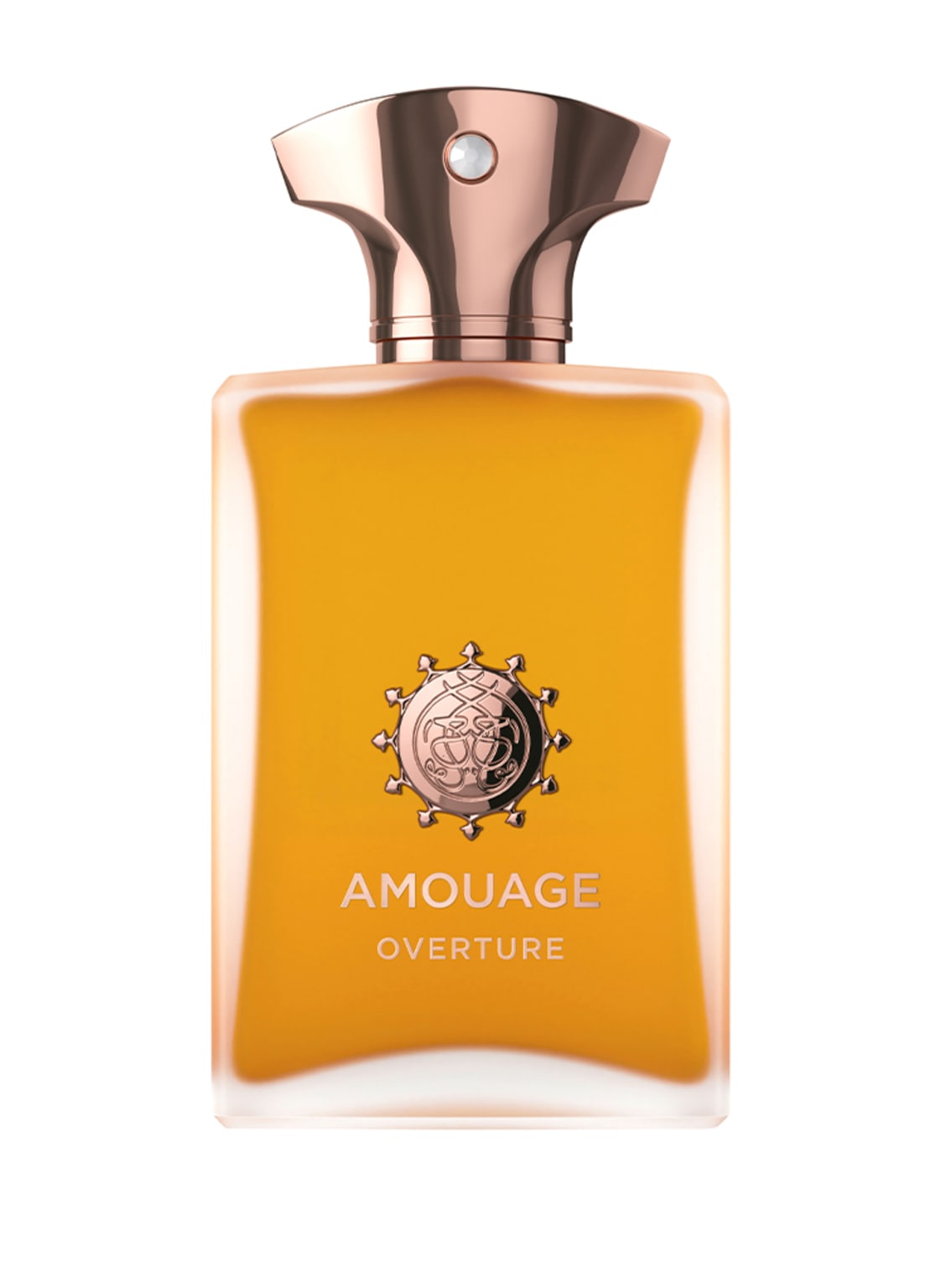 Amouage Overture Man Eau de Parfum 100 ml von AMOUAGE