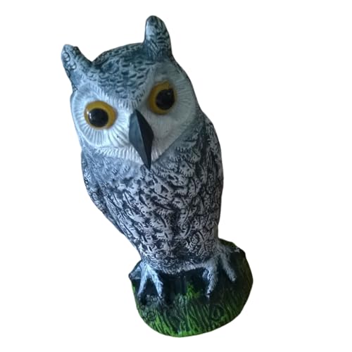 AMSLSIU Große gefälschte Eule Lockvogel Jagd Abschreckung Scarer Statue gerade Kopf Vogelscheuche für Outdoor Yard Garden Schädlingsbekämpfung AMSLSIU Große gefälschte Eule Lockvogel Jagd Abschreckung Scarer Statue gerade Kopf Vogelscheuche für Outdoor Yard Garden Schädlingsbekämpfung von AMSLSIU