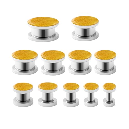 ANAZOZ Ohr Plug 3mm-20mm, Edelstahl Ohr Expander Tunnel 22 Stück Ohr Piercing Herren, Ohr-Stretching Ohrringe Silber von ANAZOZ