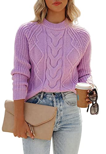 ANCAPELION Damen Kabel Pullove,Winter Casual Leicht Rundhals Langarm Einfarbig Elegant Gerippt Strickpullover,Rein Violett XXL von ANCAPELION