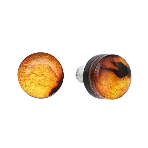 ANDANTE Premium Collection - Master of Zen - Echte Natur OSTSEE Bernstein Ohrstecker, reines 23 Karat Gold, 925 Sterling Silber und Schwarze Eiche ** Ätna ** Zertifiziert - Gold des Meeres von ANDANTE