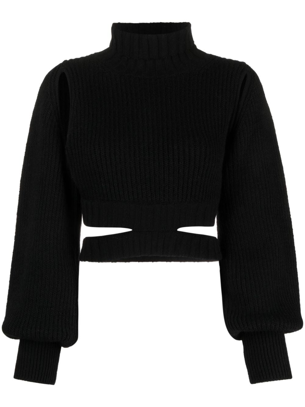 ANDREĀDAMO Cropped-Pullover mit Rollkragen - Schwarz von ANDREĀDAMO