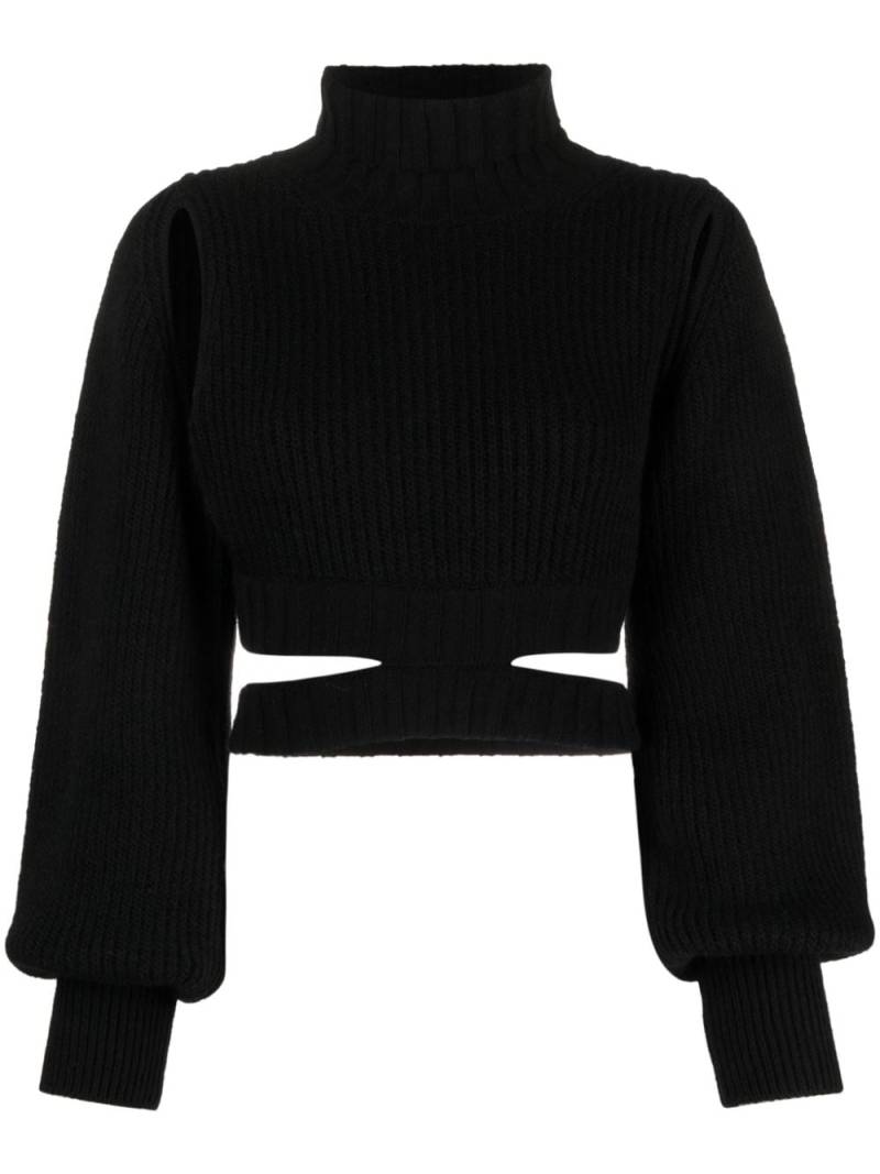 ANDREĀDAMO Cropped-Pullover mit Rollkragen - Schwarz von ANDREĀDAMO