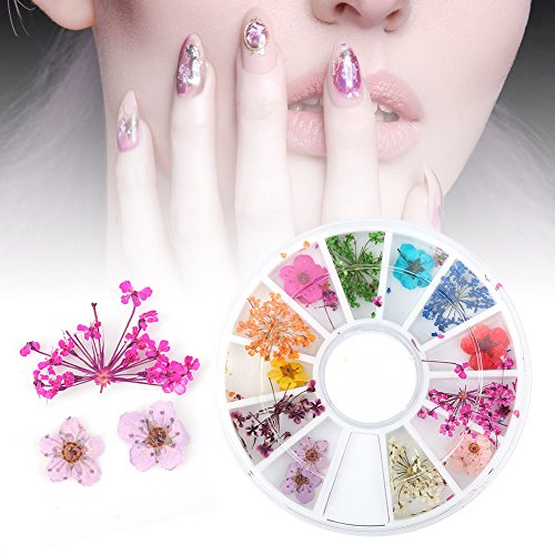 12 Arten Bunte Trockenblumen Nail Art, Natürliche Trockenblumen Set Echte Trockenblumen Nageldekoration Maniküre Kunst, Nail Art Aufkleber Nageldekoration Maniküre Werkzeug von ANKROYU