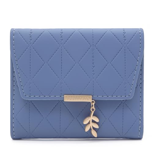 ANYWN Geldbörse Damen klein, Geldbeutel Damen klein, kleines Portemonnaie Damen, Geldtasche klein Damen mit Große Kapazität, Elegante und Süße Damen Geldbeutel mit Großes Münzfach HimmelBlau von ANYWN