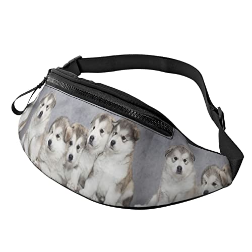 Bauchtasche für Damen Herren Alaskan Malamute Welpen Verstellbare Träger Gürteltasche Geldbörse Laufende Handytasche von AOOEDM