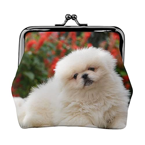 Kleiner Geldbeutel mit Kurzhaar-Pommerschen Hund, Kleiner Geldbeutel, Ledertasche mit Kussverschluss, Kleingeldbörse, Geschenke für Männer und Frauen Kleiner Geldbeutel mit Kurzhaar-Pommerschen Hund, Kleiner Geldbeutel, Ledertasche mit Kussverschluss, Kleingeldbörse, Geschenke für Männer und Frauen von AOOEDM