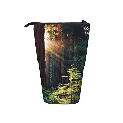 Sequoias Teleskop-Federmäppchen Stand Up Pen Bag Early Morning Sunlight In The Sequoias Highlight A Young Tree Pencil Organizer, Portable Pencil Bag for School Office von AOOEDM
