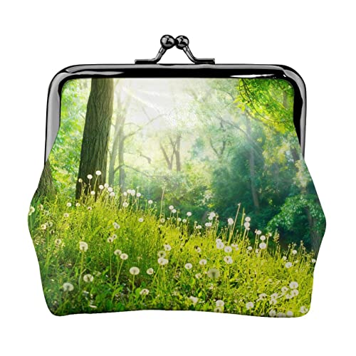 Spring Nature Schöne Landschaftsdruck Kleine Geldbörse Kiss-Lock Ledertasche Kleingeldbörse Geschenke für Männer und Frauen von AOOEDM