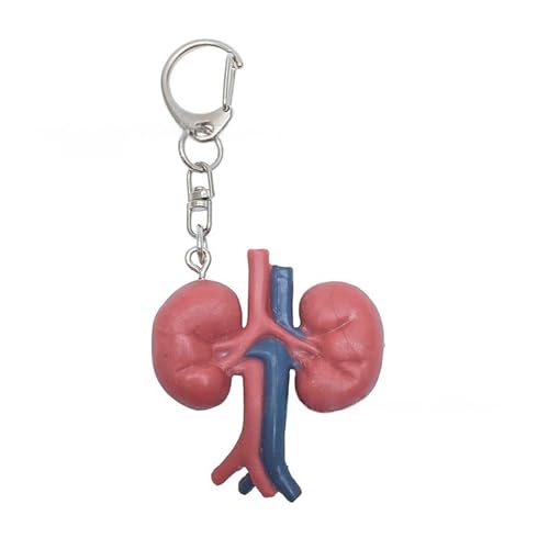 AOOOWER Einzigartiger Schlüsselanhänger in Orgelform, symbolisiert emotionale Befreiung, hergestellt aus stabilen gemischten Materialien mit aufwendigen Materialien, 58 cm, Gemischte Materialien, Kein AOOOWER Einzigartiger Schlüsselanhänger in Orgelform, symbolisiert emotionale Befreiung, hergestellt aus stabilen gemischten Materialien mit aufwendigen Materialien, 58 cm, Gemischte Materialien, Kein von AOOOWER