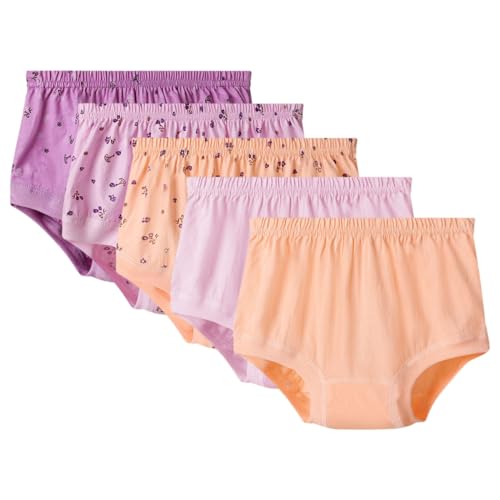 AOOPOO Unterhosen Senioren Damen 100% Baumwolle Hohe Taille Slips Übergröße Lose Höschen Weich Atmungsaktiv Bequeme Unterwäsche für Frauen Mittleren und Älteren Alters Panties Hipster 6er Pack, M-3XL von AOOPOO