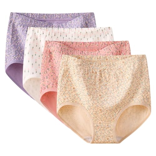 AOOPOO Unterhosen für Senioren Damen, 4er Pack Baumwolle Hohe Taille Slips Damen Stretch Atmungsaktiv Panties Hipster Weich Bequeme Unterwäsche für Frauen Mittleren und Älteren Alters, XS-L von AOOPOO