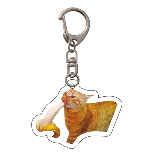 AOSAIXIS Praktischer Katzenausdruck Schlüsselhalter Acrylschlüsselbeutel Anhänger Keyring Für Alle Altersgruppen Frauen Und Mädchen von AOSAIXIS
