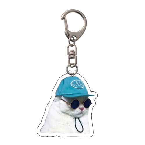 AOSAIXIS Praktischer Katzenausdruck Schlüsselhalter Acrylschlüsselbeutel Anhänger Keyring Für Alle Altersgruppen Frauen Und Mädchen von AOSAIXIS
