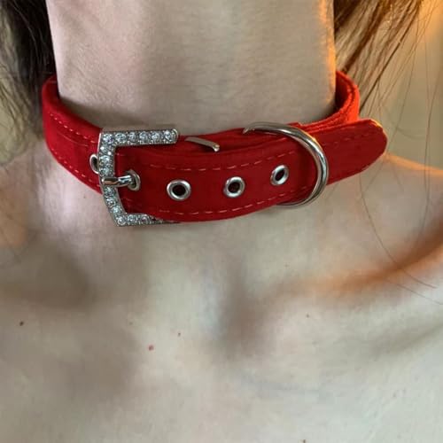 AOSAIXIS Verstellbare Leopardenmuster Chokers Halskette Für Frauen Und Mädchen Mit Runden Metallanhänger Vintage Mode Stücke AOSAIXIS Verstellbare Leopardenmuster Chokers Halskette Für Frauen Und Mädchen Mit Runden Metallanhänger Vintage Mode Stücke von AOSAIXIS