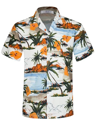 APTRO Herren Hemd Hawaiihemd Strandhemd Kurzarm Urlaub Hemd Freizeit Reise Hemd Party Hemd Palme M212 XL von APTRO