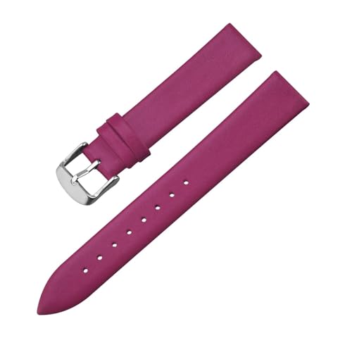 APVMFMKLTG Uhrenarmband 12 mm 14 mm 16 mm 18 mm 20 mm 22 mm Uhrenarmband mit silberner Dornschließe(PURPLE,16mm.-0.62in) von APVMFMKLTG