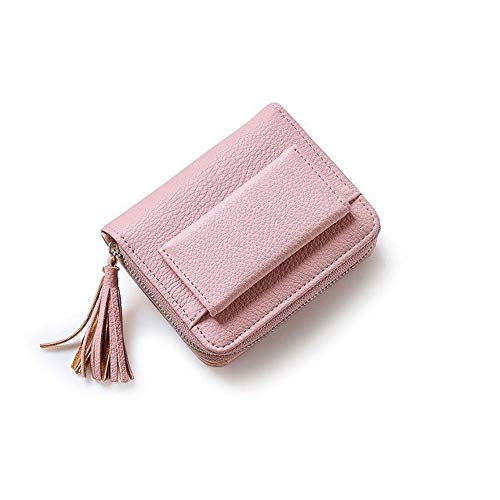 AQQWWER Geldbörsen für Damen Frauen Kleine Mappen Short Geld Wallets Leder Lady Zipper Geldbörsen Mode-Kartenhalter (Color : Pink) von AQQWWER