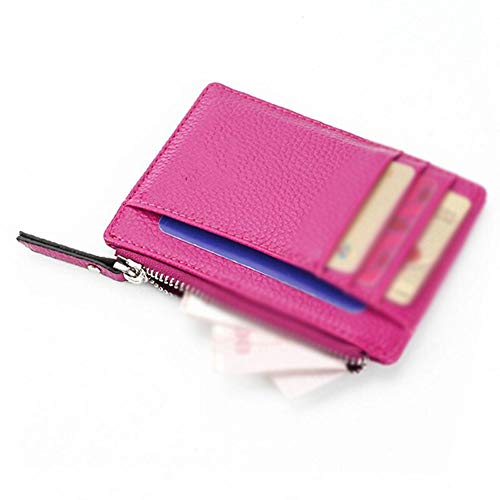 AQQWWER Geldbörsen für Damen Leder-Mappen-Kartenhalter-Karten-Mappen-Frauen-Reißverschluss-Münzen-Tasche Ultra Thin Wallet (Color : Rose) von AQQWWER