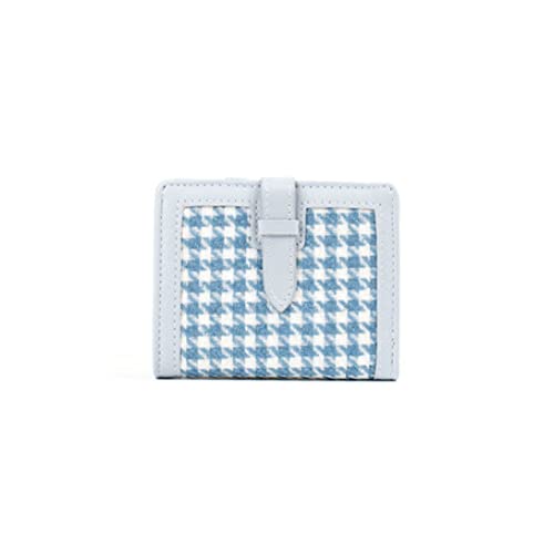 AQQWWER Geldbörsen für Damen Mode weibliche Plaid Brieftasche Frauen Geldbörsen Chic Kleine Mini Münze Geldbörse Haspe Kartenhalter (Color : Blue) von AQQWWER