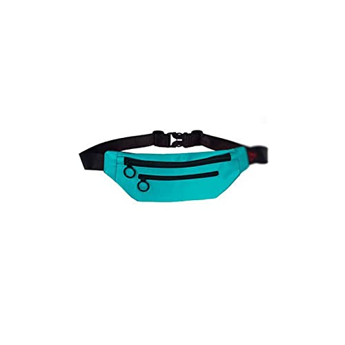 AQQWWER Hüfttasche Sport Taille Tasche Fanny Pack Für Frauen Männer Bum Geld Gürtel Brieftasche Tragbare Telefonhalter Fitnessstudio Lauftasche (Color : Blue) von AQQWWER