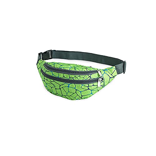 AQQWWER Hüfttasche Taillenpackungen, Frauen Fanny Pack Mode Männer Taille Tasche Bunte Reise Bum Gürteltasche Telefon Reißverschluss Tasche Packungen (Color : Green) von AQQWWER