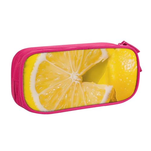AQRJLPO Federmäppchen für Jungen und Mädchen, großes Fassungsvermögen, für Büro, Schule, Studenten, Schreibwaren-Tasche, Stifthalter mit 2 Fächern, Schwarz, rose, Einheitsgröße, Schulranzen von AQRJLPO