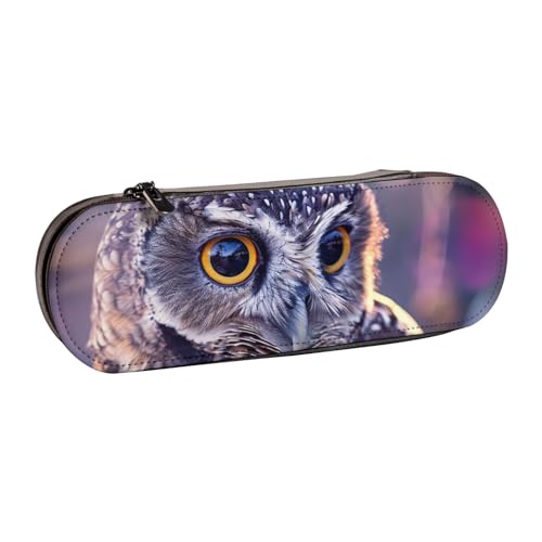 AQRJLPO Lustiges Federmäppchen aus Leder mit Eulen-Motiv, multifunktional, Reise-Kosmetiktasche, Reißverschluss, Schreibtisch-Aufbewahrungsbox, kompaktes Geschenk für Schule, Büro, Reisen, Schwarz von AQRJLPO