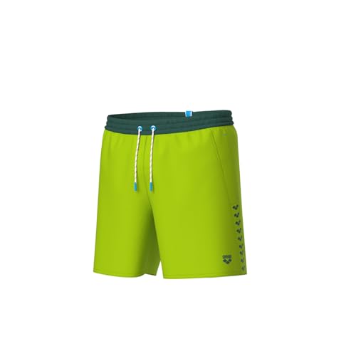 arena Herren Team Stripe Boxer Beach Shorts von ARENA