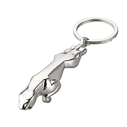 ARFUKA Schlüsselanhänger Edelstahl Autoschlüsselanhänger Metall Keychain Geburtstag Weihnachtsgeschenke für Frauen und Männer von ARFUKA