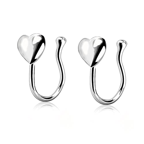 ARHZ 2er-Pack Nasenclip Gefälschte Nasenringe, Edelstahl Fake Piercing Nasenclip, Kein Piercing Nasenring, Nasenohrringe Männer Frauen von ARHZ