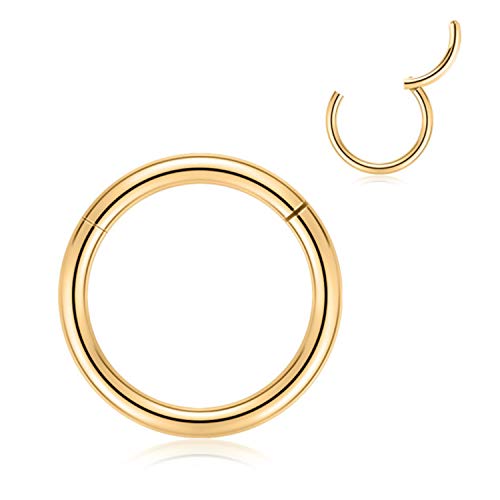 AROWRO 10mm Creolen für Damen Herren dick vergoldet Piercing Ringe 8 Gauge Septum Nasenringe Hoop 8G Septum Schmuck 316L Chirurgenstahl Scharnier Clicker Bull Nose Hoop von AROWRO