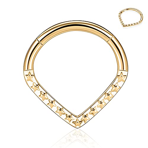 AROWRO Septum Schmuck Gold Septum Nasenringe 16G Daith Helix Ohrringe 16G Septum Nasenringe für Frauen Septum Hoop Daith Helix Rook Piercing Schmuck Chirurgenstahl Daith Knorpel Conch Schmuck 10mm von AROWRO
