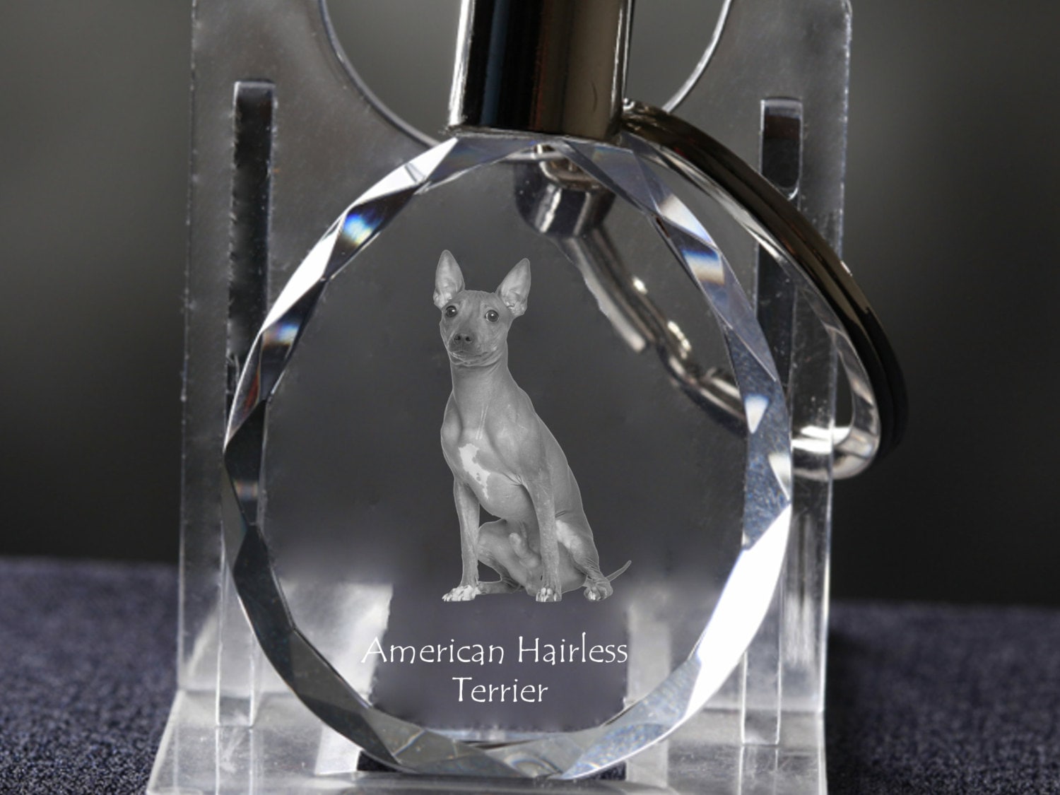 American Hairless Terrier , Hund Kristall Schlüsselbund, Hohe Qualität, Außergewöhnliche Geschenk von ARTDOGshop