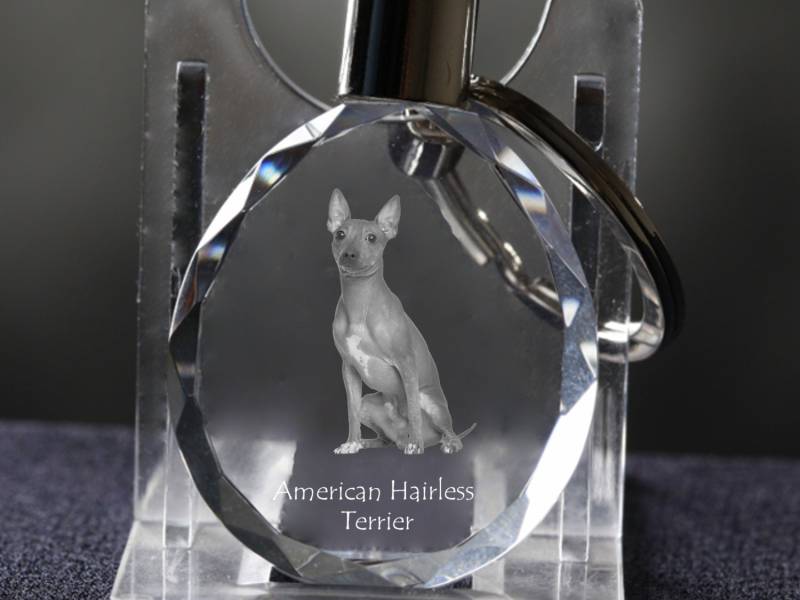 American Hairless Terrier , Hund Kristall Schlüsselbund, Hohe Qualität, Außergewöhnliche Geschenk von ARTDOGshop