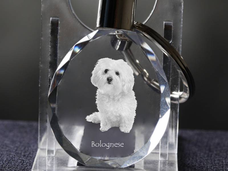 Bologneser , Hund Kristall Schlüsselbund, Hohe Qualität, Außergewöhnliche Geschenk Bologneser , Hund Kristall Schlüsselbund, Hohe Qualität, Außergewöhnliche Geschenk von ARTDOGshop