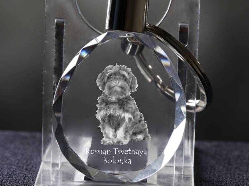 Bolonka Zwetna , Hund Kristall Schlüsselbund, Hohe Qualität, Außergewöhnliche Geschenk Bolonka Zwetna , Hund Kristall Schlüsselbund, Hohe Qualität, Außergewöhnliche Geschenk von ARTDOGshop
