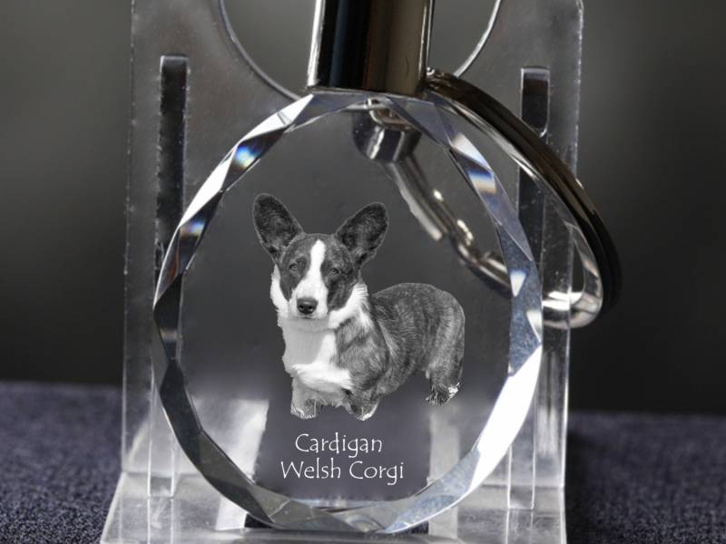 Cardigan Welsh Corgi , Hund Kristall Schlüsselbund, Hohe Qualität, Außergewöhnliche Geschenk Cardigan Welsh Corgi , Hund Kristall Schlüsselbund, Hohe Qualität, Außergewöhnliche Geschenk von ARTDOGshop