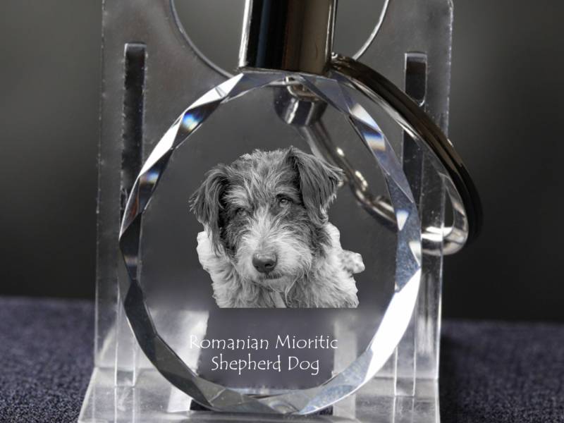 Ciobănesc Românesc Mioritic , Hund Kristall Schlüsselbund, Hohe Qualität, Außergewöhnliche Geschenk von ARTDOGshop