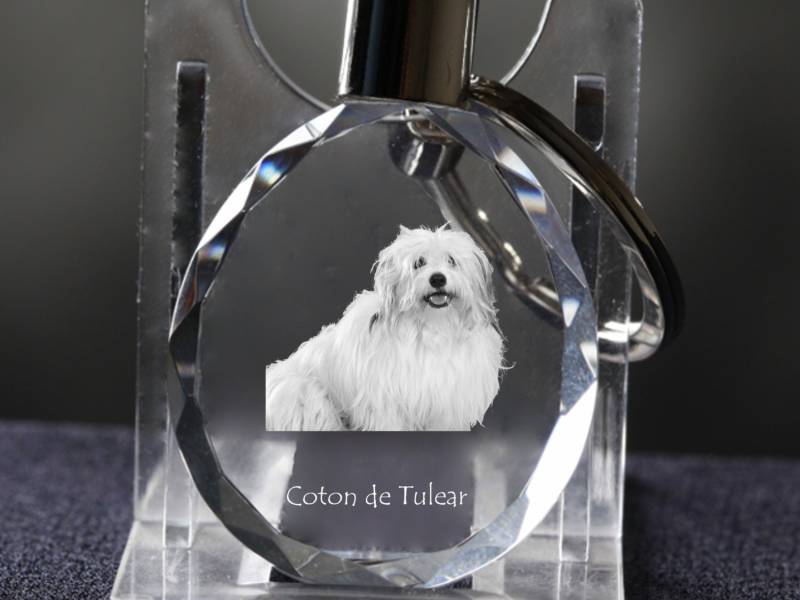 Coton De Tuléar , Hund Kristall Schlüsselbund, Hohe Qualität, Außergewöhnliche Geschenk Coton De Tuléar , Hund Kristall Schlüsselbund, Hohe Qualität, Außergewöhnliche Geschenk von ARTDOGshop