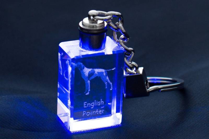 English Pointer, Hund Kristall Schlüsselbund, Hohe Qualität, Außergewöhnliche Geschenk von ARTDOGshop