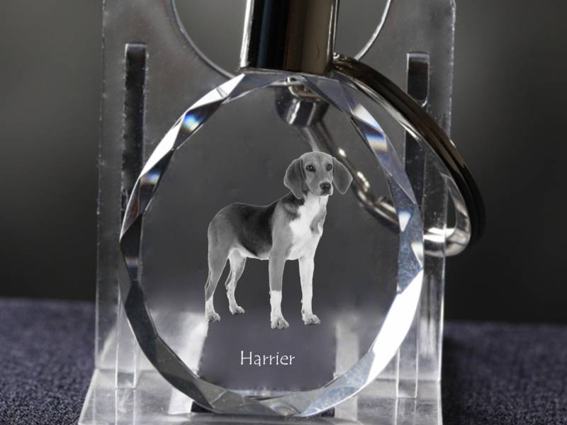 Harrier , Hund Kristall Schlüsselbund, Hohe Qualität, Außergewöhnliche Geschenk Harrier , Hund Kristall Schlüsselbund, Hohe Qualität, Außergewöhnliche Geschenk von ARTDOGshop