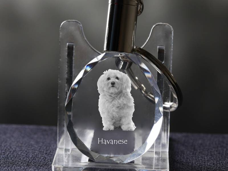 Havaneser, Hund Kristall Schlüsselbund, Hohe Qualität, Außergewöhnliche Geschenk Havaneser, Hund Kristall Schlüsselbund, Hohe Qualität, Außergewöhnliche Geschenk von ARTDOGshop