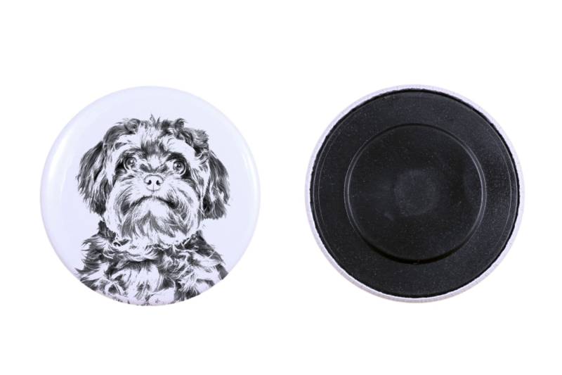 Magnet Mit Einem Hund -Bolonka Zwetna Magnet Mit Einem Hund -Bolonka Zwetna von ARTDOGshop