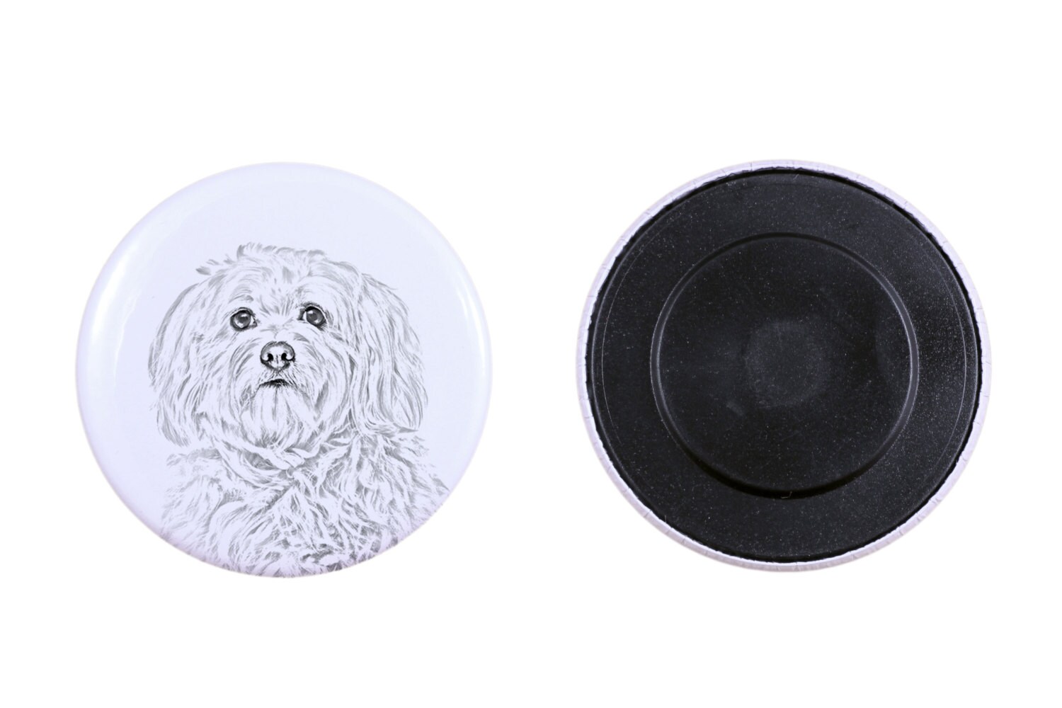 Magnet Mit Einem Hund -Havaneser von ARTDOGshop