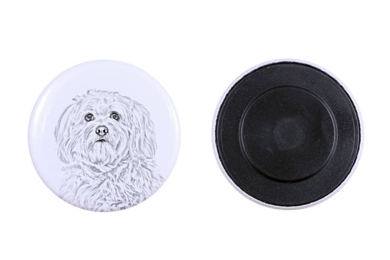 Magnet Mit Einem Hund -Havaneser von ARTDOGshop