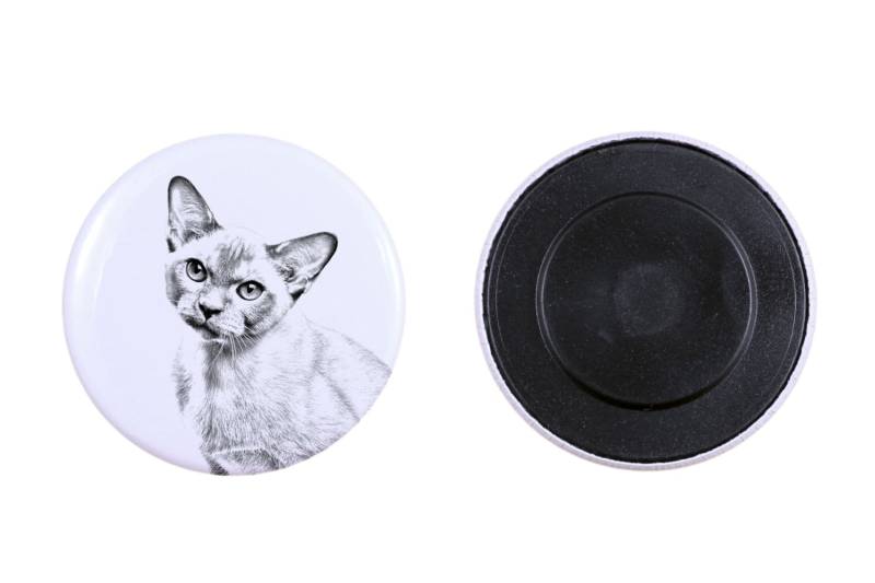 Magnet Mit Einem Katze -Burma-Katze Magnet Mit Einem Katze -Burma-Katze von ARTDOGshop