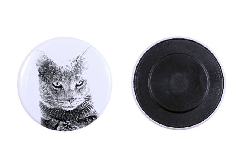 Magnet Mit Einem Katze -Chartreux Magnet Mit Einem Katze -Chartreux von ARTDOGshop